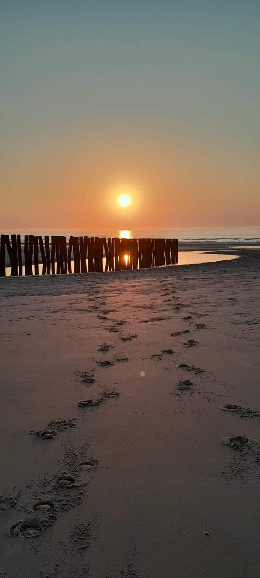 Appartamento Le Clapotis Des Flots Calais Esterno foto